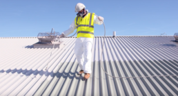About roof cladding painting